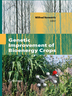 cover image of Genetic Improvement of Bioenergy Crops